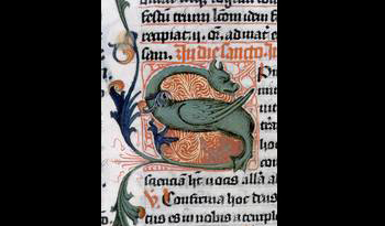 Dracheninitial